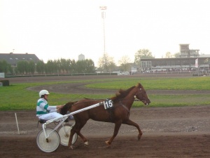 KOERS KUURNE 30/9/2011
